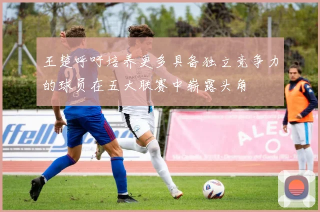 王楚呼吁培养更多具备独立竞争力的球员在五大联赛中崭露头角