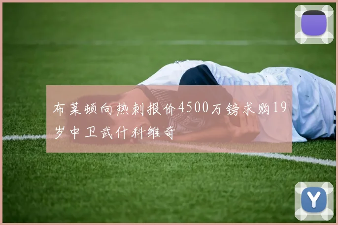布莱顿向热刺报价4500万镑求购19岁中卫武什科维奇